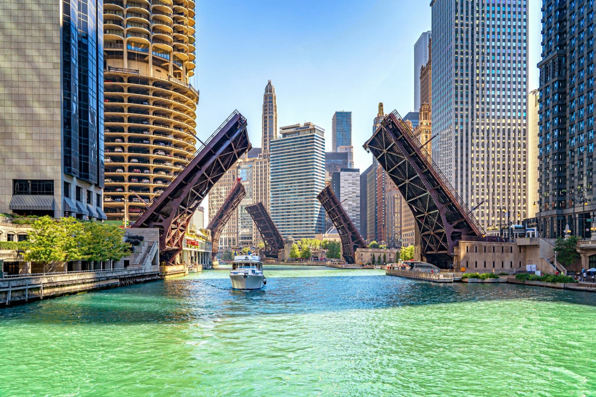 Dorsia Chicago