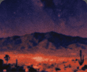 Desert Nights